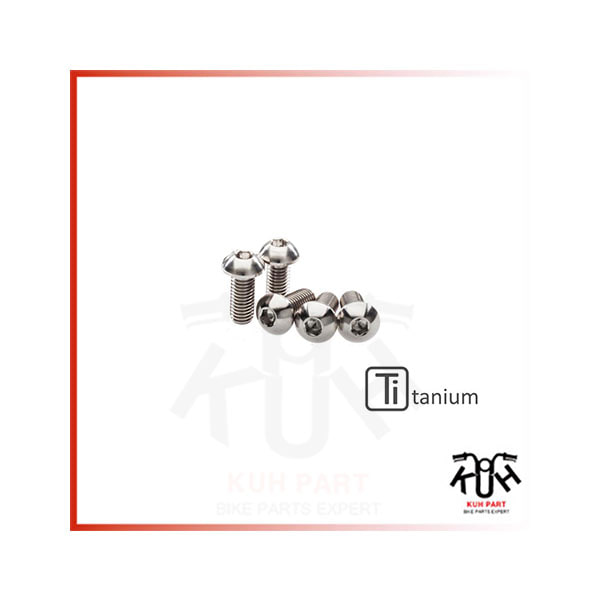 CNC 레이싱 ] 두카티 파니갈레959 (2016-19) Screws set front brake disc M8x20 (5 pcs) - Titanium KV414X