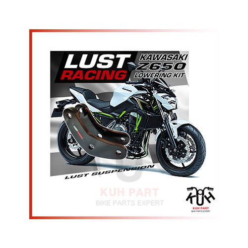 LUST RACING 러스트레이싱 Kawasaki Z650 (2017-18 ) 로우 다운킷 (30mm)